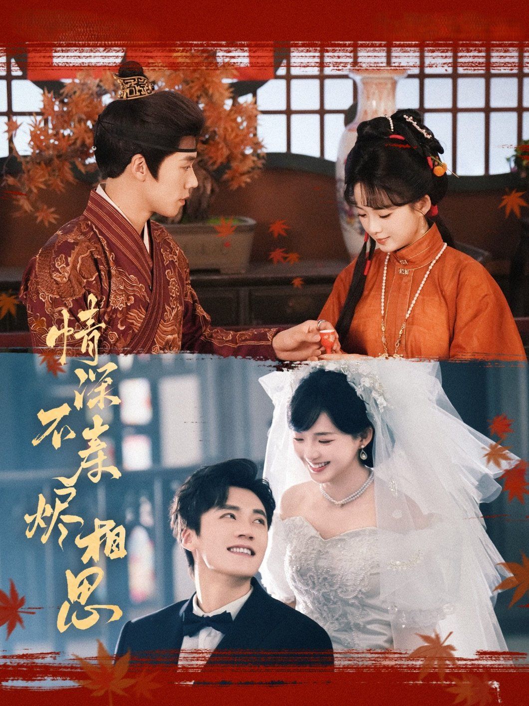 情深不寿烬相思